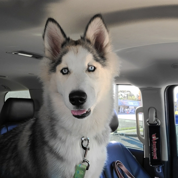 Meet your Posher, Michele π - Picture 3 of 16